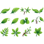 green leaf icons 2